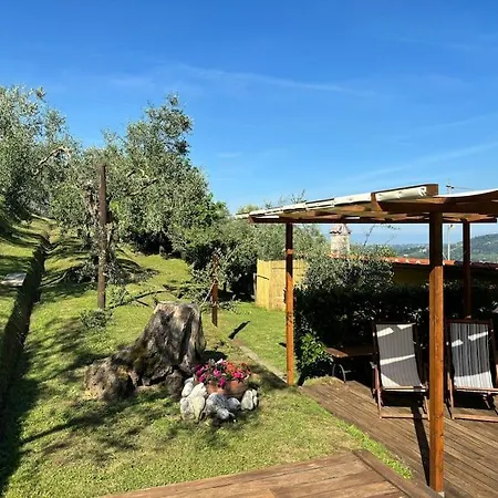 La Cicala Sulle Colline Della Versilia, Con Piscina * 马萨罗萨
