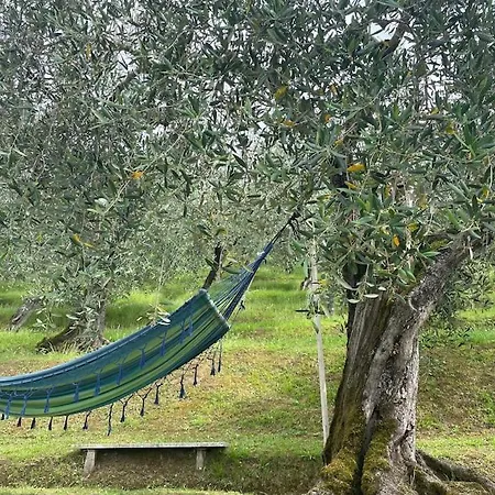 La Cicala Sulle Colline Della Versilia, Con Piscina