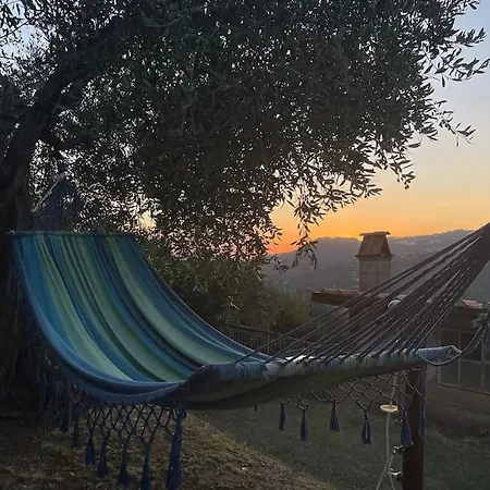 度假居 La Cicala Sulle Colline Della Versilia, Con Piscina 马萨罗萨