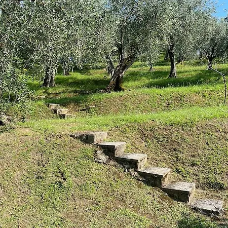 La Cicala Sulle Colline Della Versilia, Con Piscina 马萨罗萨