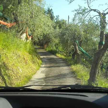 La Cicala Sulle Colline Della Versilia, Con Piscina 度假居 *
