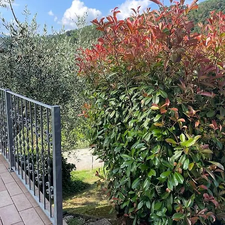 La Cicala Sulle Colline Della Versilia, Con Piscina 度假居 马萨罗萨