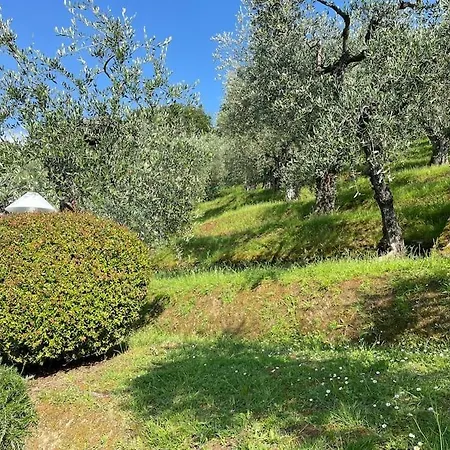 度假居 La Cicala Sulle Colline Della Versilia, Con Piscina 马萨罗萨