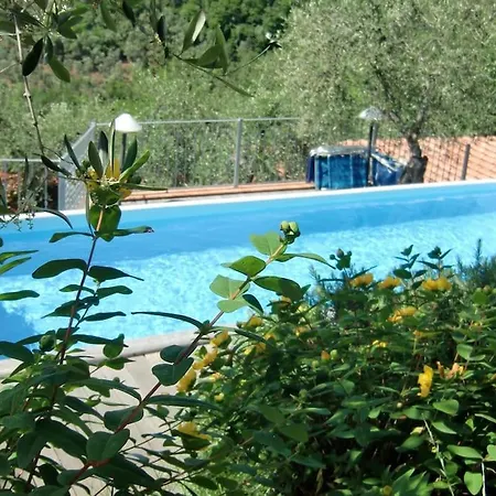 La Cicala Sulle Colline Della Versilia, Con Piscina