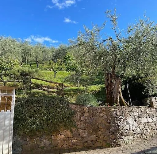 La Cicala Sulle Colline Della Versilia, Con Piscina Semesterbostad *