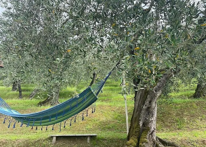 La Cicala Sulle Colline Della Versilia, Con Piscina