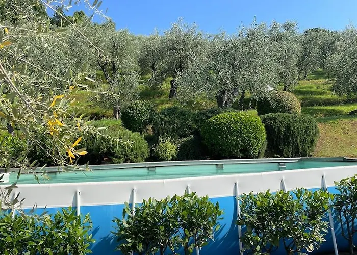 La Cicala Sulle Colline Della Versilia, Con Piscina Semesterbostad Massarosa