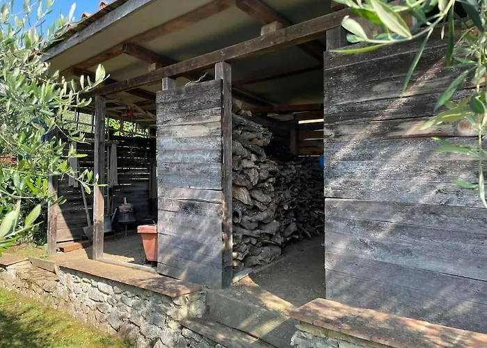 La Cicala Sulle Colline Della Versilia, Con Piscina Semesterbostad *
