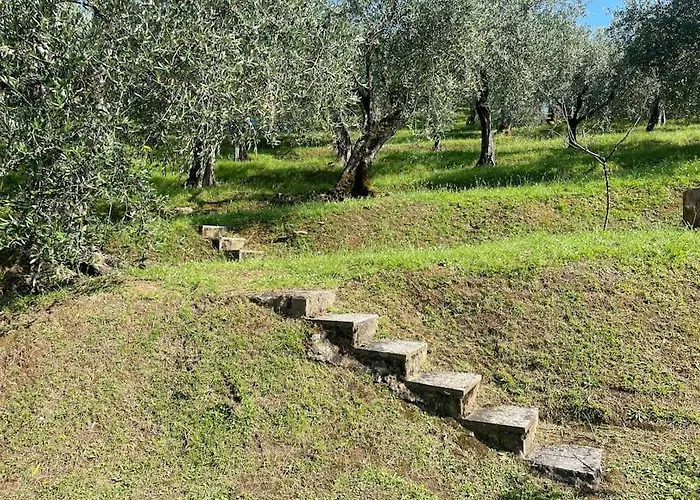 La Cicala Sulle Colline Della Versilia, Con Piscina Massarosa