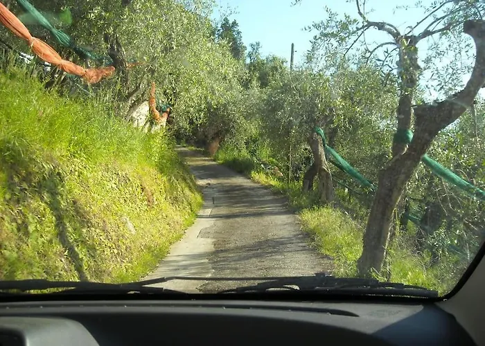 La Cicala Sulle Colline Della Versilia, Con Piscina Semesterbostad *
