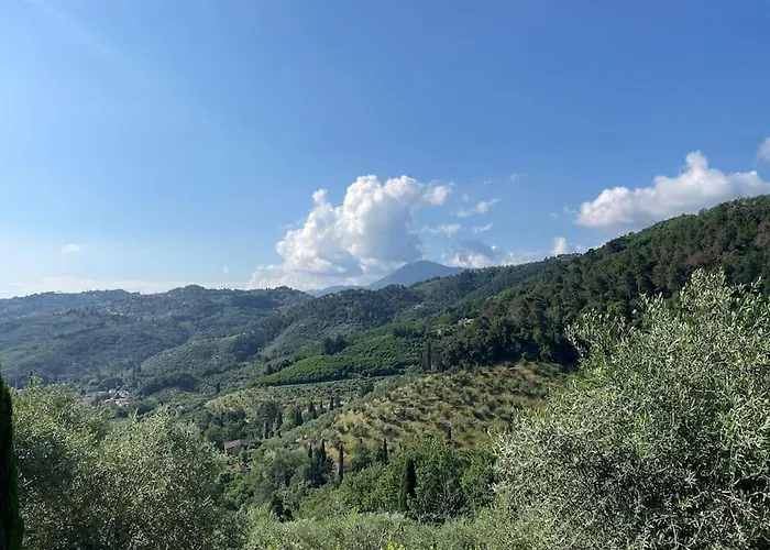 Semesterbostad La Cicala Sulle Colline Della Versilia, Con Piscina *