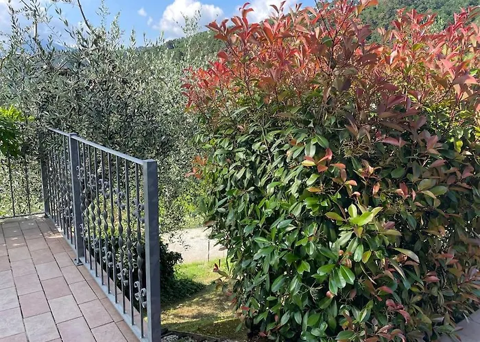 La Cicala Sulle Colline Della Versilia, Con Piscina Semesterbostad Massarosa