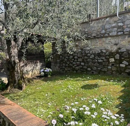 La Cicala Sulle Colline Della Versilia, Con Piscina Massarosa