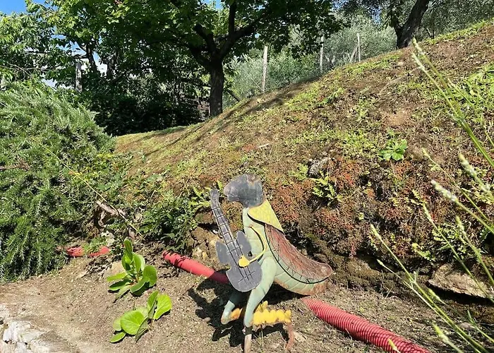 La Cicala Sulle Colline Della Versilia, Con Piscina Semesterbostad