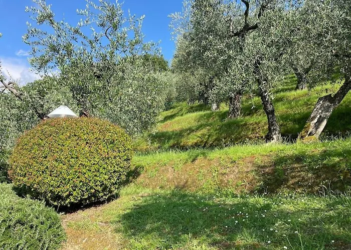 Semesterbostad La Cicala Sulle Colline Della Versilia, Con Piscina Massarosa