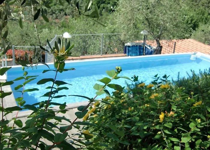 La Cicala Sulle Colline Della Versilia, Con Piscina