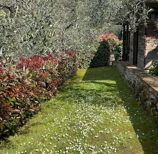 La Cicala Sulle Colline Della Versilia, Con Piscina Massarosa